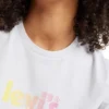 Levis Tee Shirt LEVI'S® GRAPHIC Artic